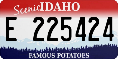 ID license plate E225424