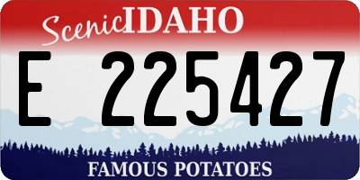 ID license plate E225427