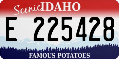 ID license plate E225428