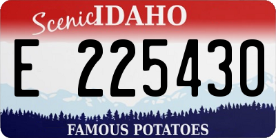 ID license plate E225430