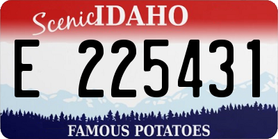 ID license plate E225431
