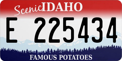 ID license plate E225434