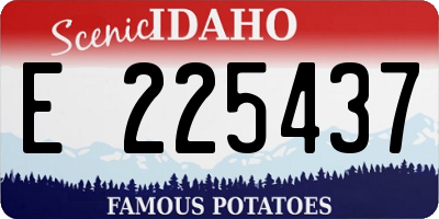 ID license plate E225437