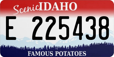 ID license plate E225438