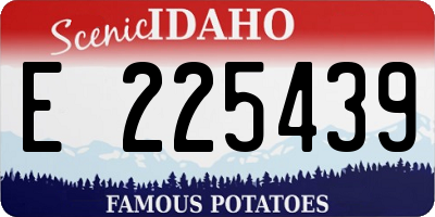 ID license plate E225439
