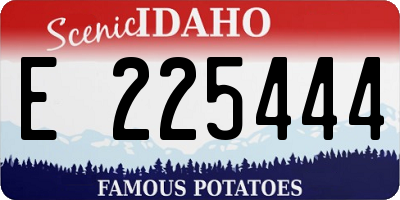 ID license plate E225444