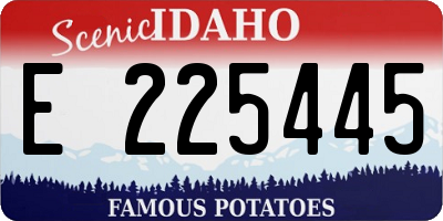 ID license plate E225445