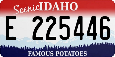 ID license plate E225446