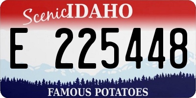 ID license plate E225448