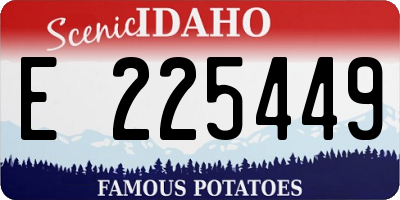 ID license plate E225449