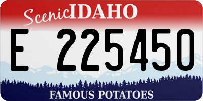 ID license plate E225450