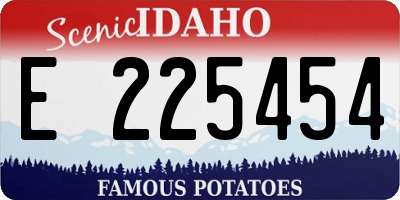 ID license plate E225454