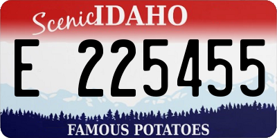 ID license plate E225455