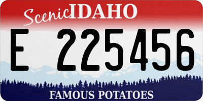 ID license plate E225456