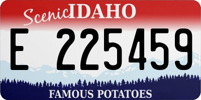 ID license plate E225459