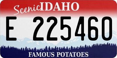 ID license plate E225460