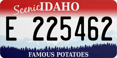 ID license plate E225462