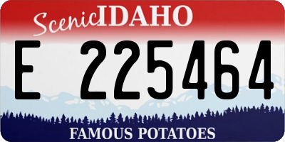 ID license plate E225464