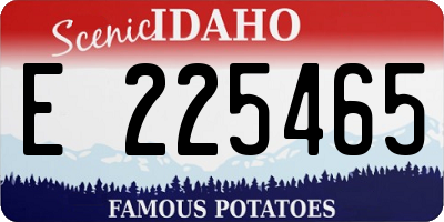 ID license plate E225465