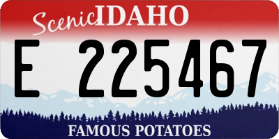 ID license plate E225467