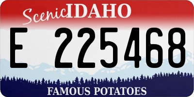 ID license plate E225468