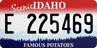 ID license plate E225469