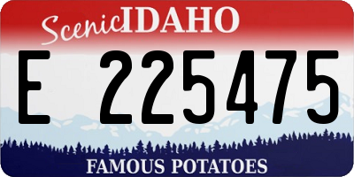 ID license plate E225475