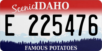 ID license plate E225476