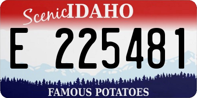 ID license plate E225481