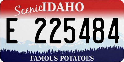 ID license plate E225484