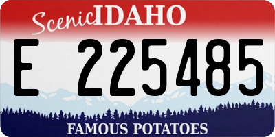 ID license plate E225485