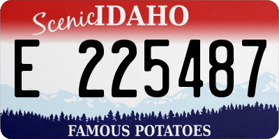 ID license plate E225487
