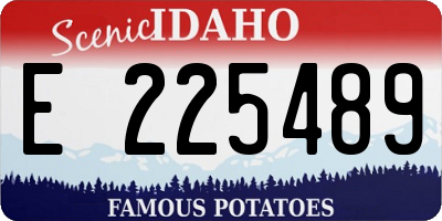 ID license plate E225489