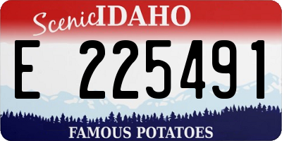 ID license plate E225491