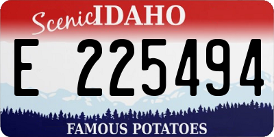 ID license plate E225494