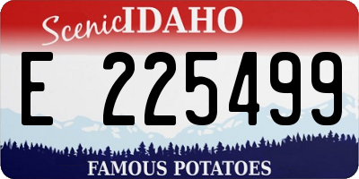 ID license plate E225499