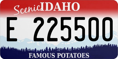 ID license plate E225500