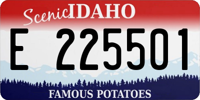 ID license plate E225501