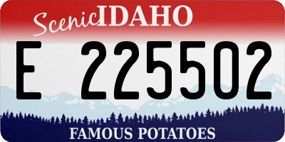 ID license plate E225502
