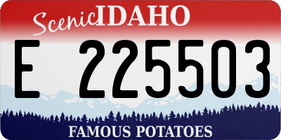 ID license plate E225503