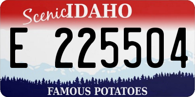 ID license plate E225504