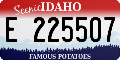 ID license plate E225507
