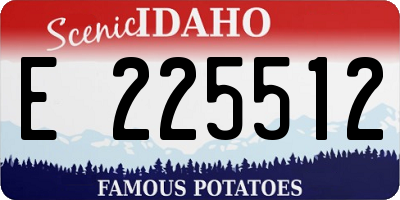 ID license plate E225512