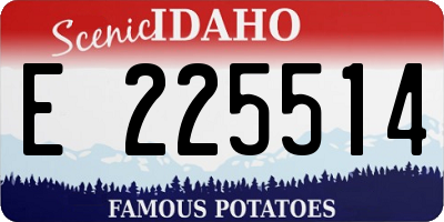 ID license plate E225514