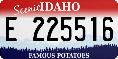 ID license plate E225516