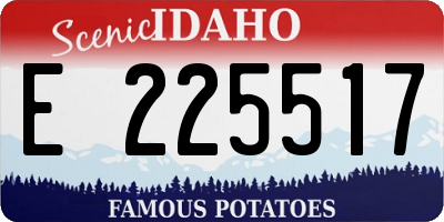 ID license plate E225517