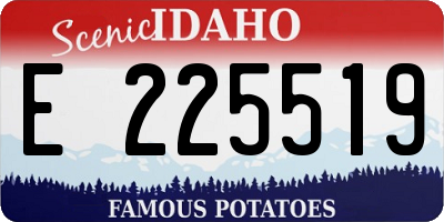 ID license plate E225519