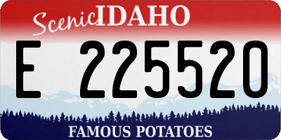 ID license plate E225520