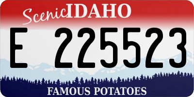 ID license plate E225523