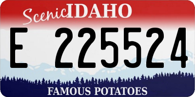 ID license plate E225524